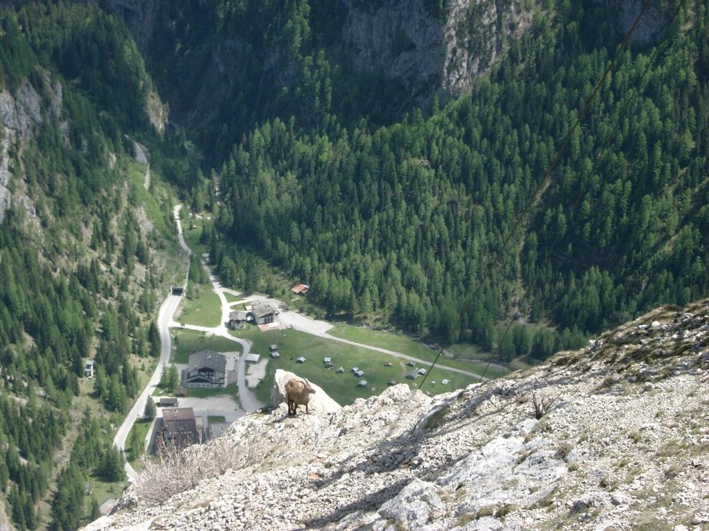 Albergo Genzianella Rocca Pietore Exterior foto